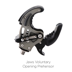 TRS Adult Hands & Prehensors